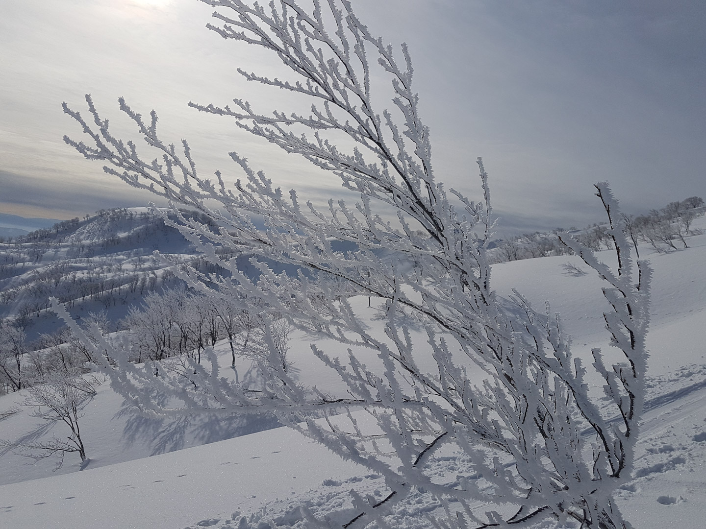 Japan and France 2019 Part 1